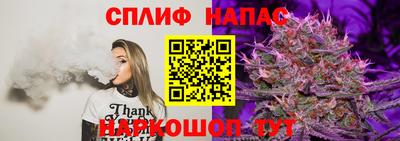 стаф Заволжье