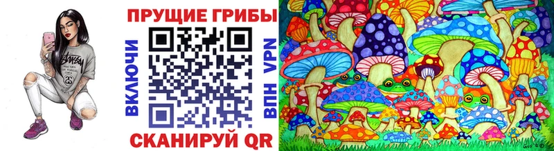 Галлюциногенные грибы Magic Shrooms Новороссийск