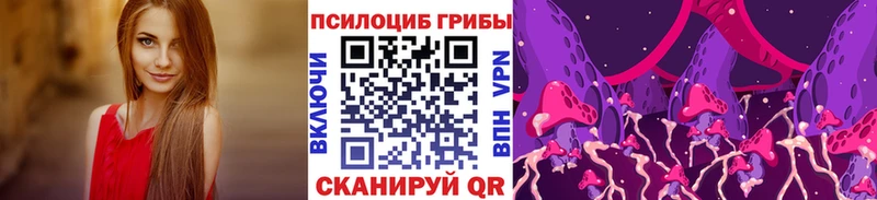 закладка  Новороссийск  Галлюциногенные грибы GOLDEN TEACHER 