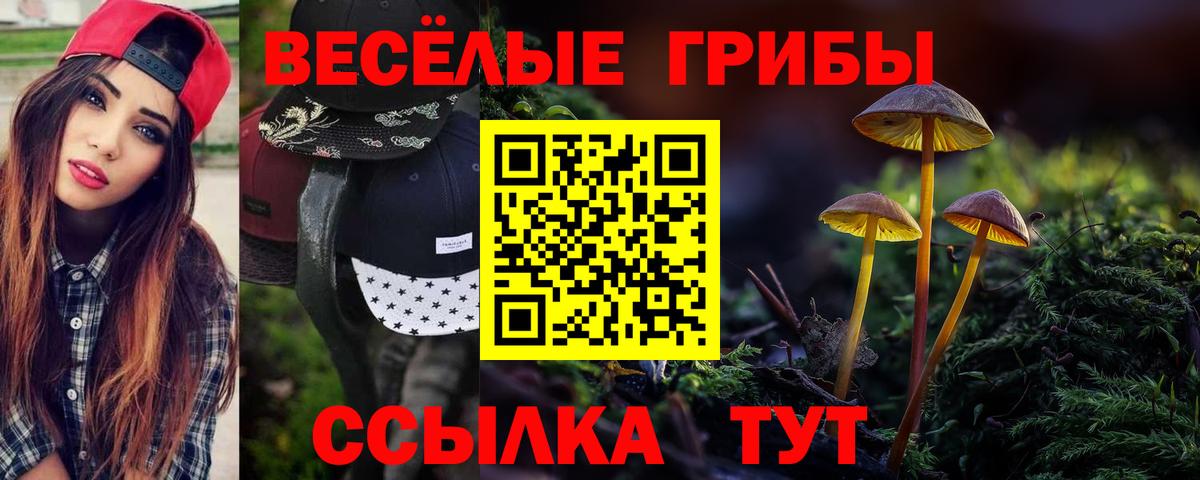 Галлюциногенные грибы прущие грибы  Вход с VPN  Новороссийск 