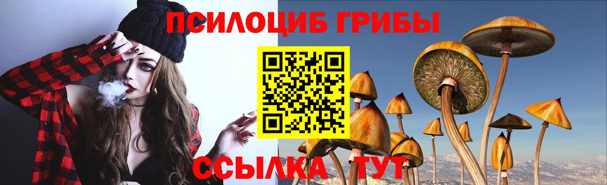 Псилоцибиновые грибы Magic Shrooms Новороссийск